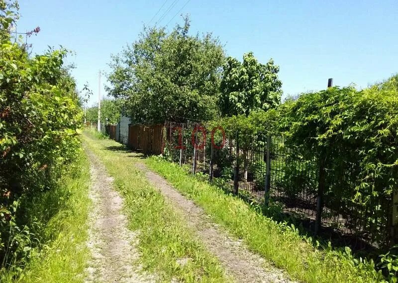 Дача чистые пруды тамбов. Чистые пруды тамбов. Дача чистые пруды тамбов. Дачи в чистых прудах тамбов. Дача чистые пруды тамбов.