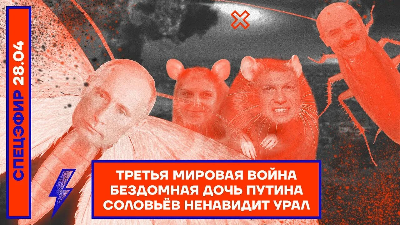 Соловьев ненавижу