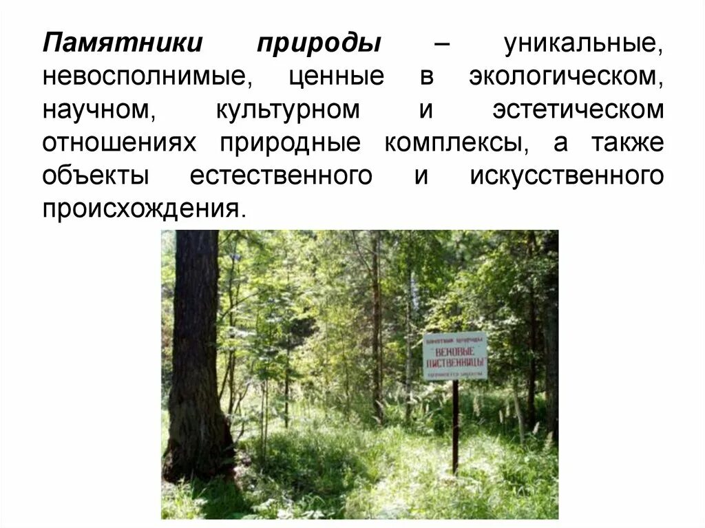 Характеристика памятников природы. Экологические памятники природы. Памятники природы это определение. Памятники природы это в экологии. Памятник природы это кратко.