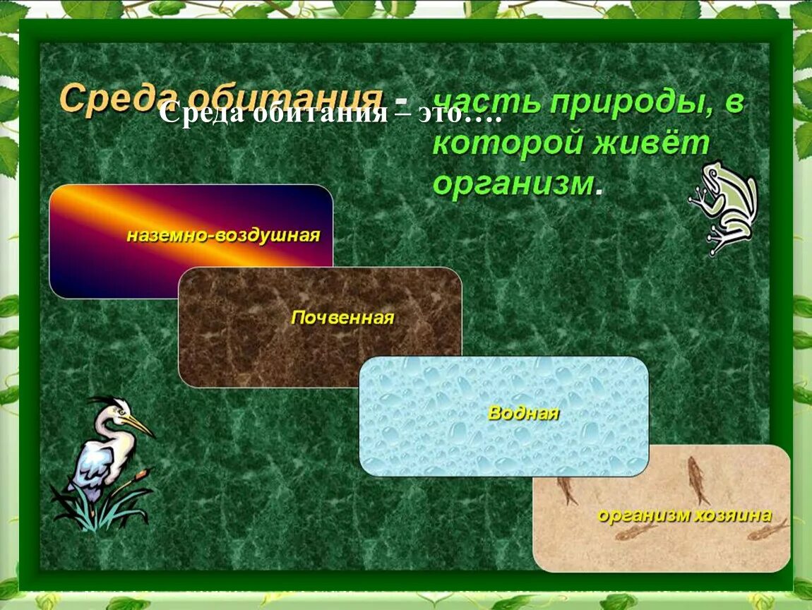 Презентация среда обитания 5 класс биология пасечник