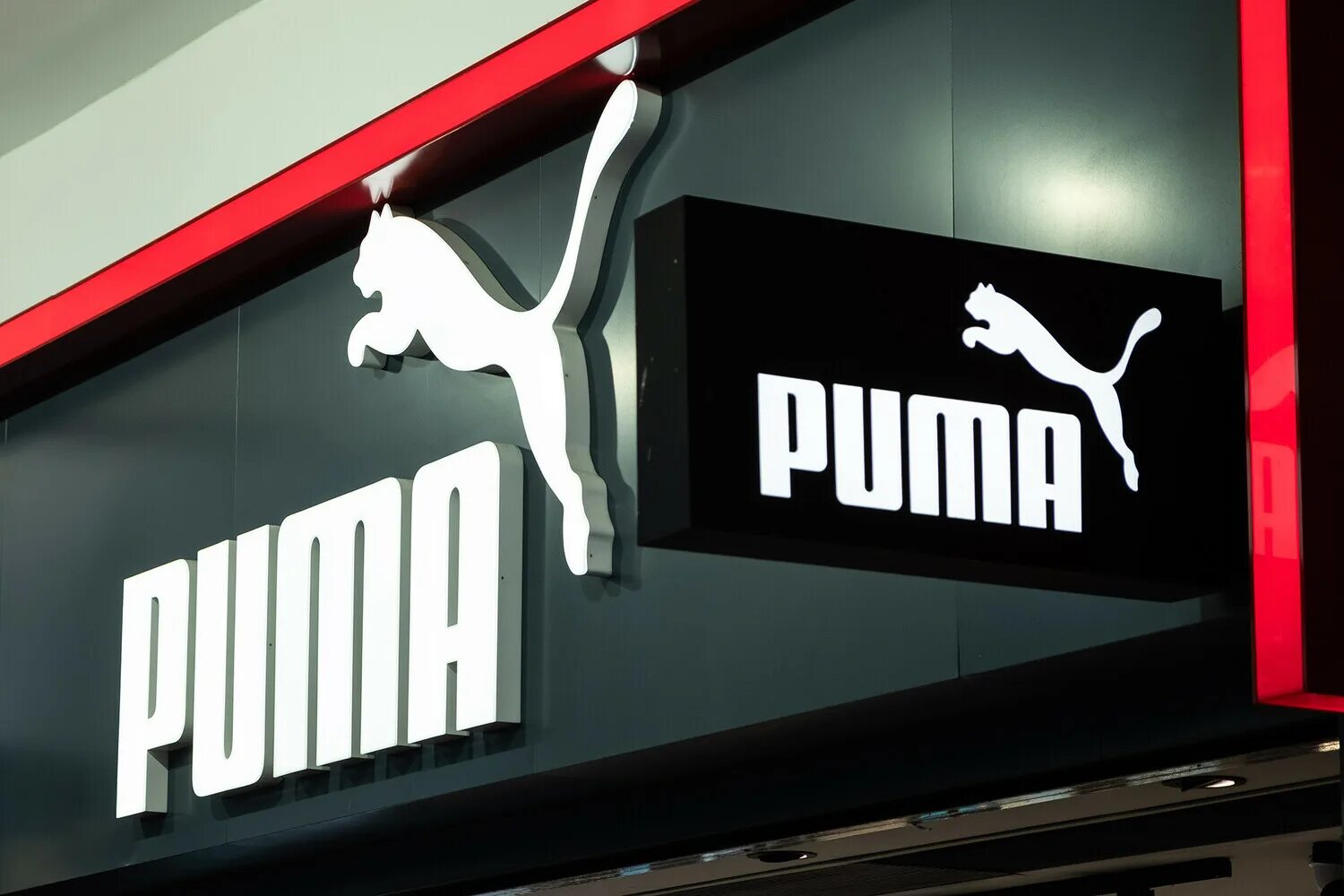 Puma новый бренд в России. Ами Пума бренд. Пума новое название в России. Red компания. Амазинг пума