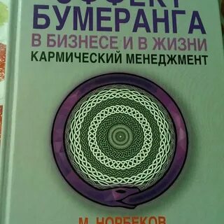 Принцип бумеранга читать