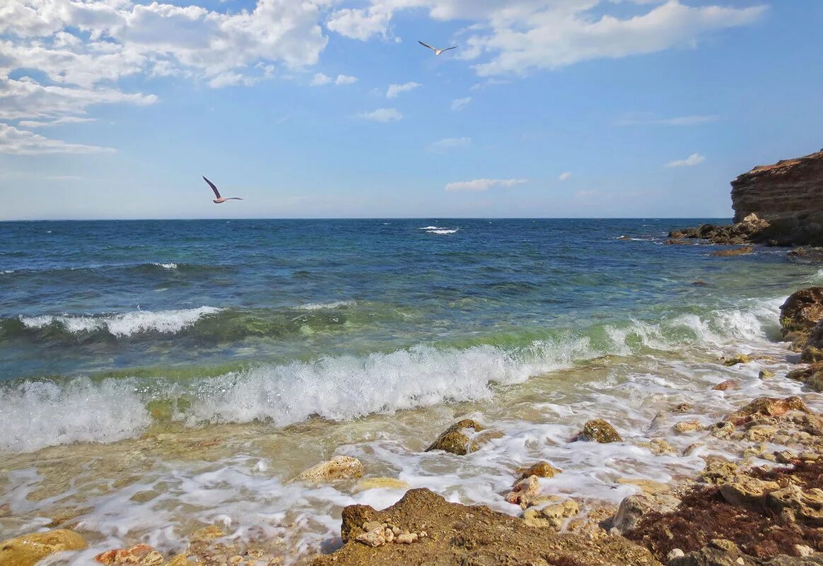 Море восторг. Морской Прибой Евпатория. Море Феодосия Прибой. Морской Прибой Анапа.