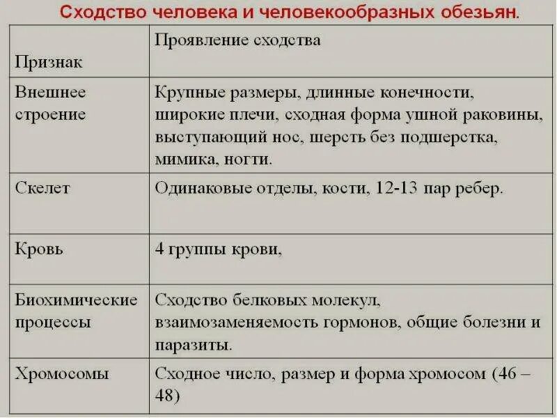 Сходное строение внешнего