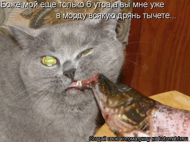 тыкать в морду своим выменем. тыкать в морду своим выменем. ой да хорош мне тыкать в морду своим. ой да хорош мне тыкать своим выменем. тыкать в морду своим выменем.