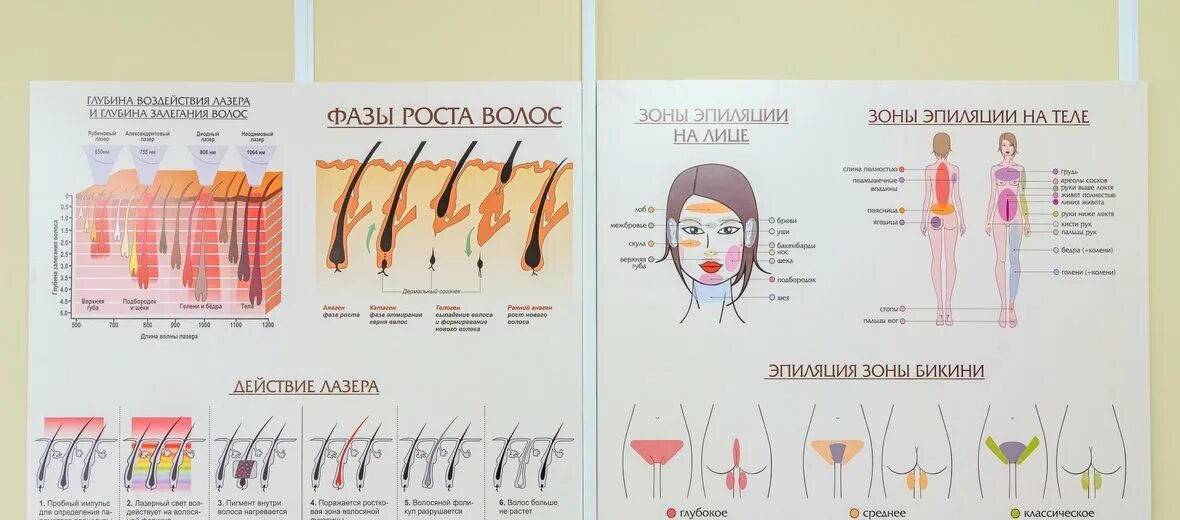Чем отличается бикини от тотального бикини. Зоны эпиляции. зоны эпиляции на лице. зоны депиляции в схемах. зона тотального бикини лазерная эпиляция.
