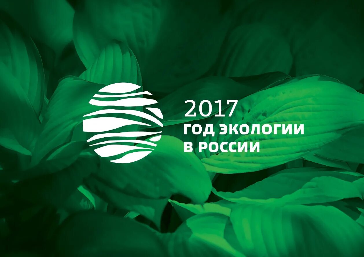 символ года экологии. 2017 год экологии. экология логотип. год экологии 2017. эмблема года экологии в россии 2017.