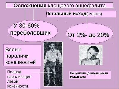 Энцефалит симптомы у взрослых после укуса