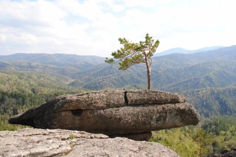 Скала круглая белокуриха. Скала четыре брата в белокурихе. Круглая скала. Гора круглая белокуриха. Врата любви белокуриха.