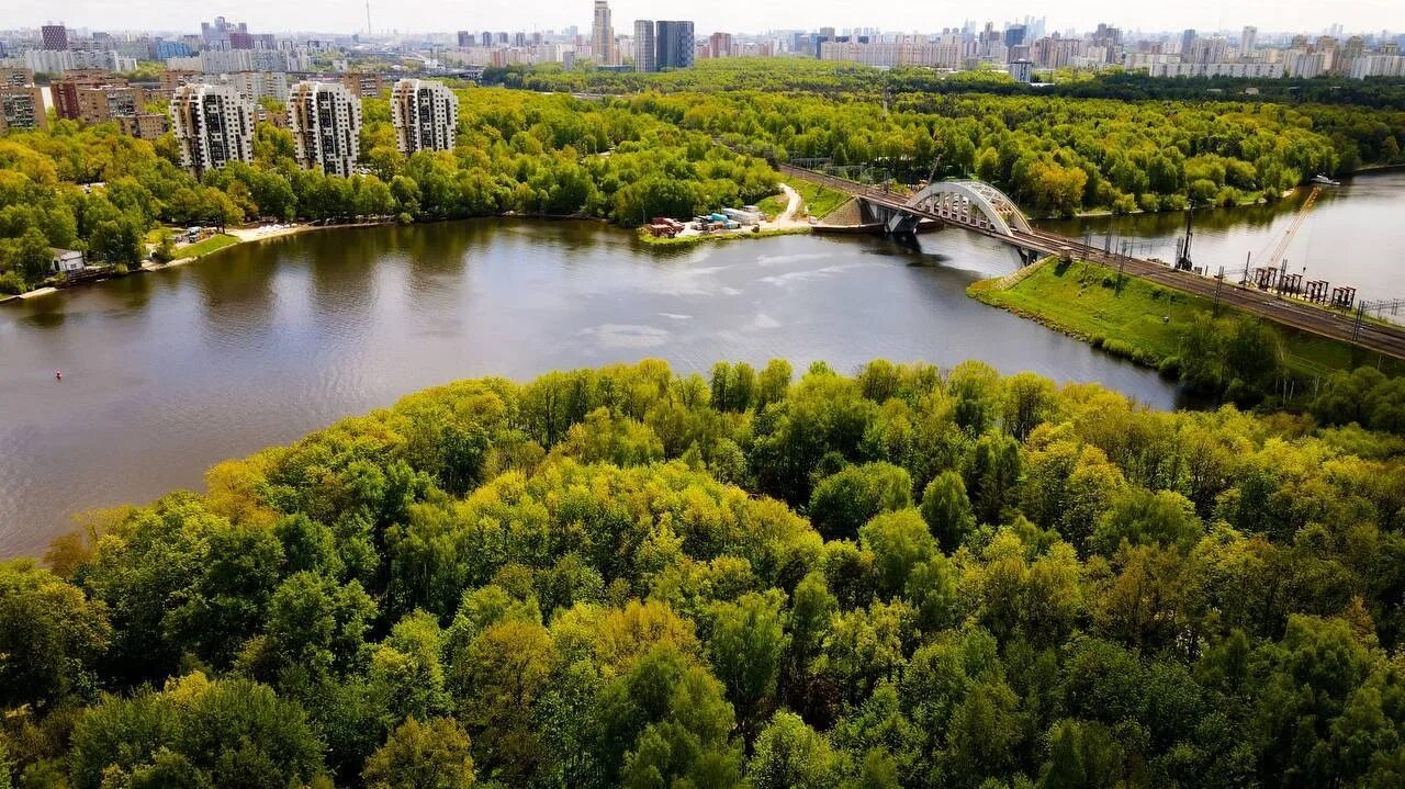 Химки центр города. Химки. сходненский лесопарк химки. г химки московская область. красивые места в химках.