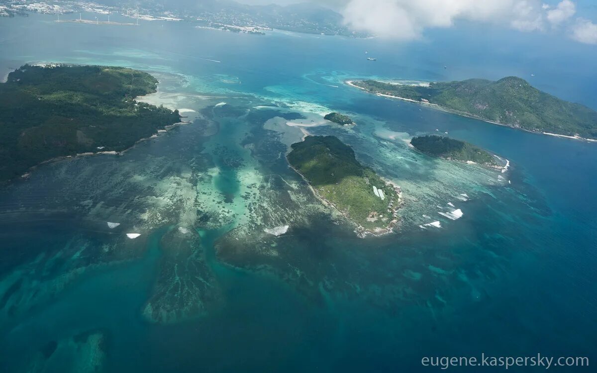 На новой Гвинее и близлежащих островах живут. Praslin Island Airport.