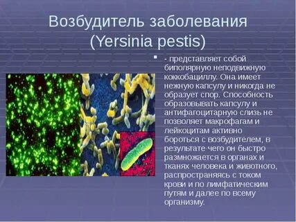 Возбудитель