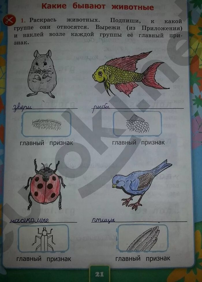 Окружающий мир стр 24. Окружающий мир по 2 классу. Окружающий мир. Рабочая тетрадь. 1 Класс. Часть 2. Домашнее задание окружающий мир. Гдз окружающий мир 2 класс рабочая тетрадь 1 часть.