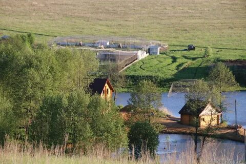 Лесное мордовия
