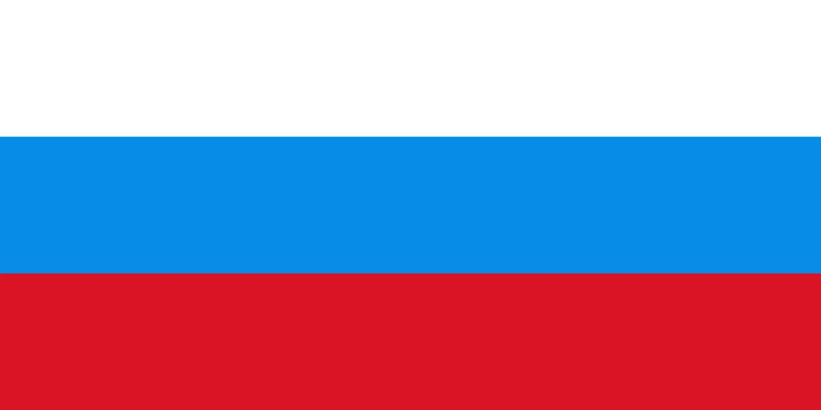 Флаг РФ 1991-1993. Флаг Словакии 1939-1945. Флаг России до 1993. Флаг России 1993 года.