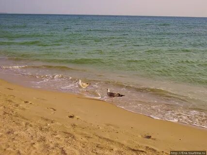 Витязево есть море