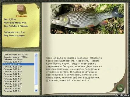 Где поймать голавля