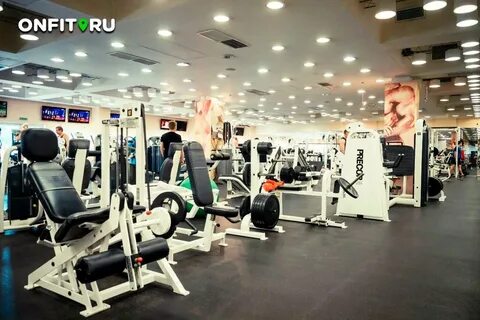 Альфа домодедовская
