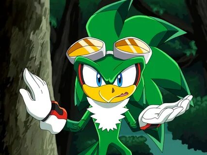 Sonic birds