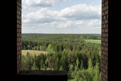 Урман асты