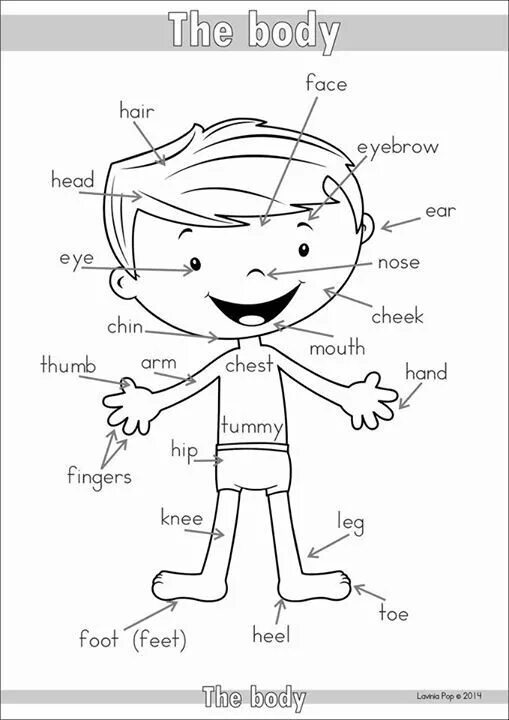 This is my body. Body Parts раскраска. Body Parts for Kids раскраска. Bodyparts раскраска. My body for Kids задания для детей.