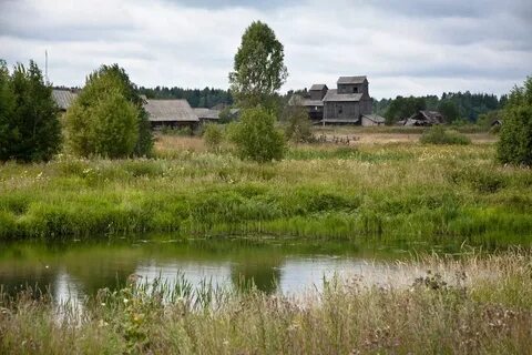 Петровское костромская область