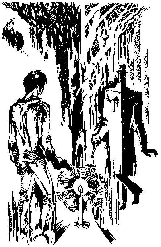 Иллюстрации стерлиговой к книгам крапивина. Крапивин голубятня на желтой поляне. Крапивин голубятня на желтой поляне. Иллюстрации стерлиговой к книгам крапивина. Крапивин голубятня на желтой поляне иллюстрации.