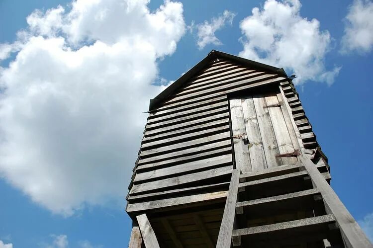 смотрители леса призваны предотвращать. летние маршруты в заповеднике сочи. лес после пожара. смотритель леса. смотрители леса призваны предотвращать.