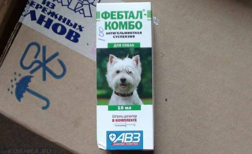 Обратное чихание у собак мелких. Фебтал комбо. от кашля собаке. препараты от кашля для собак. таблетки от кашля для собак.