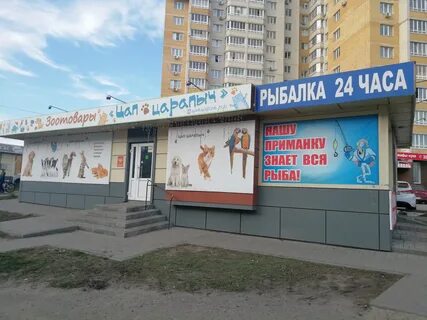 Зоомагазин тамбов