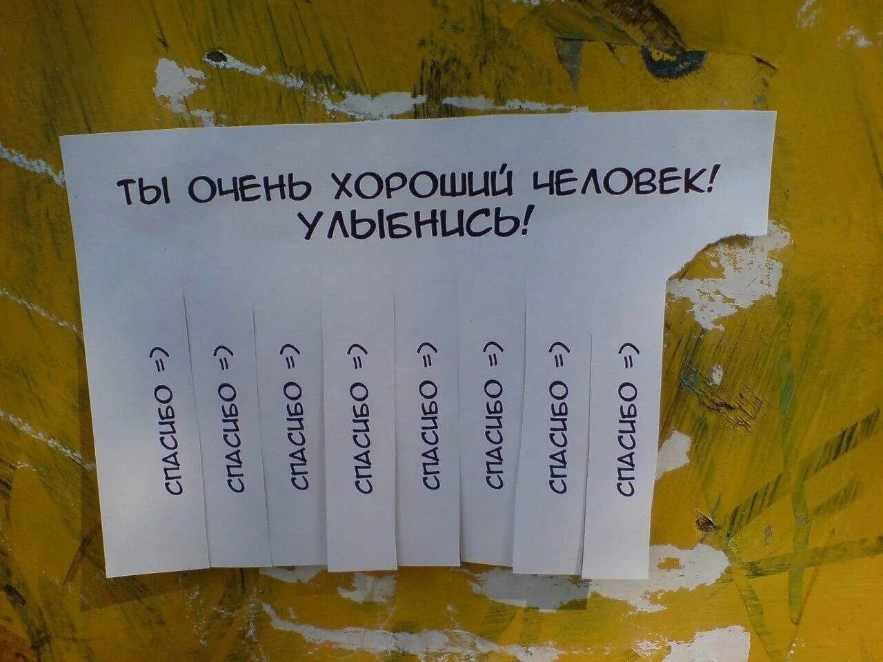 Ты очень. Ты очень хороший человечек. Ты очень хороший человек. Хороший человек. Хорошему человеку прикольные.