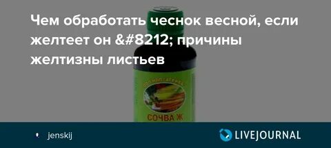 От желтизны листьев чеснока
