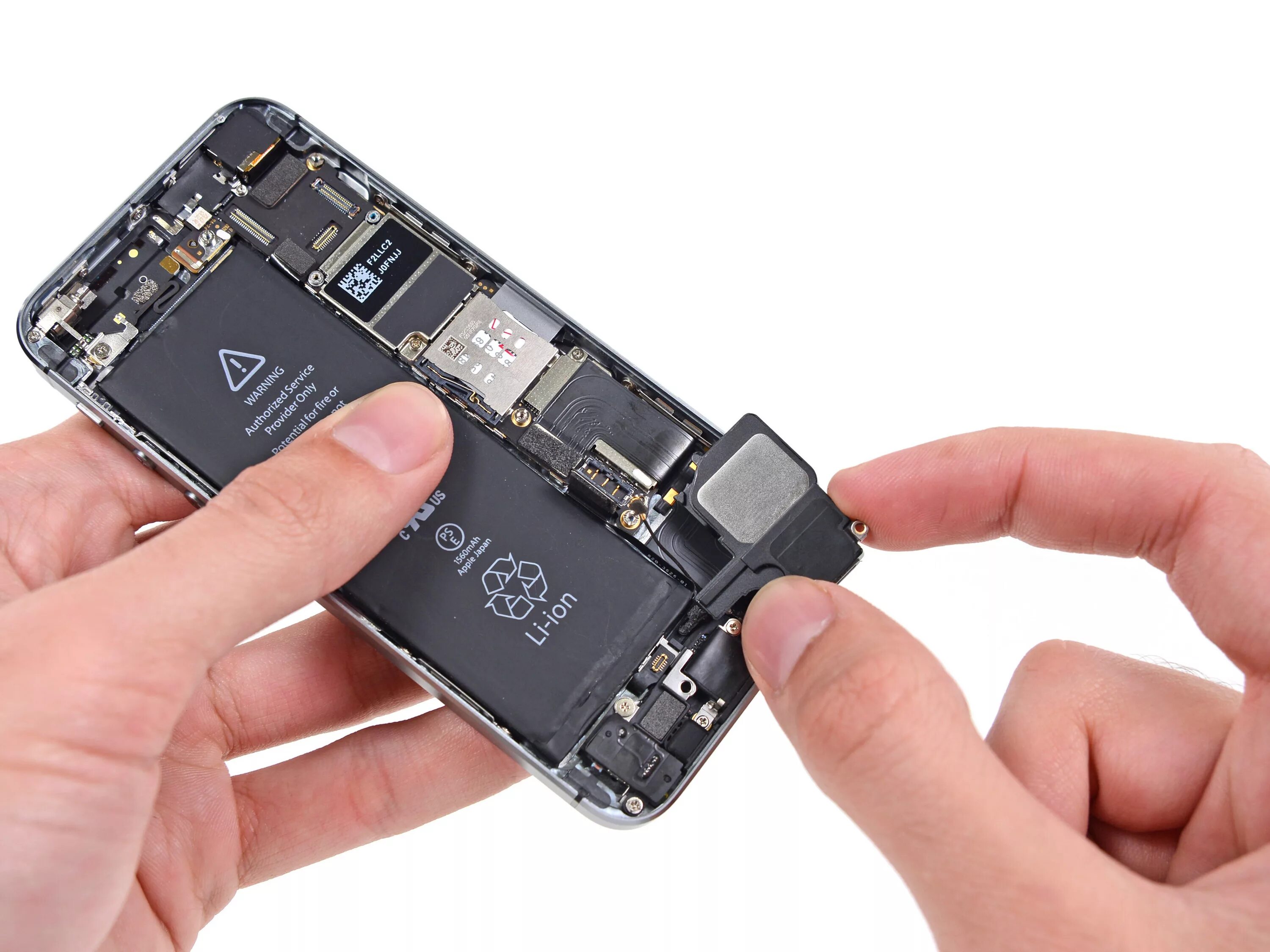 Замена динамиков iphone 7 цена. Динамики айфон 5s. Динамик для Apple iphone 5. Динамик iphone se. Айфон 6 динамики.