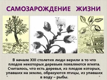 В течение нескольких столетий