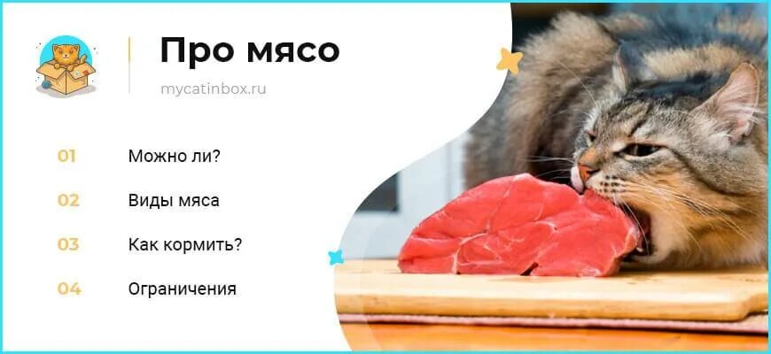 Какое мясо давать котятам. Какую еду нельзя кошкам. что можно давать котам. какую еду можно давать коту.