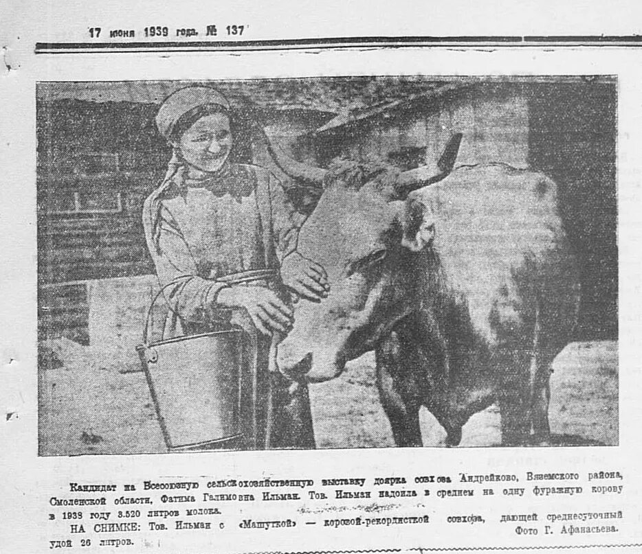 Андрейково Вяземский район Смоленская область. Андрейково Вязьма. Андрейково Вяземский район пост. Андрейково Вяземского фото.