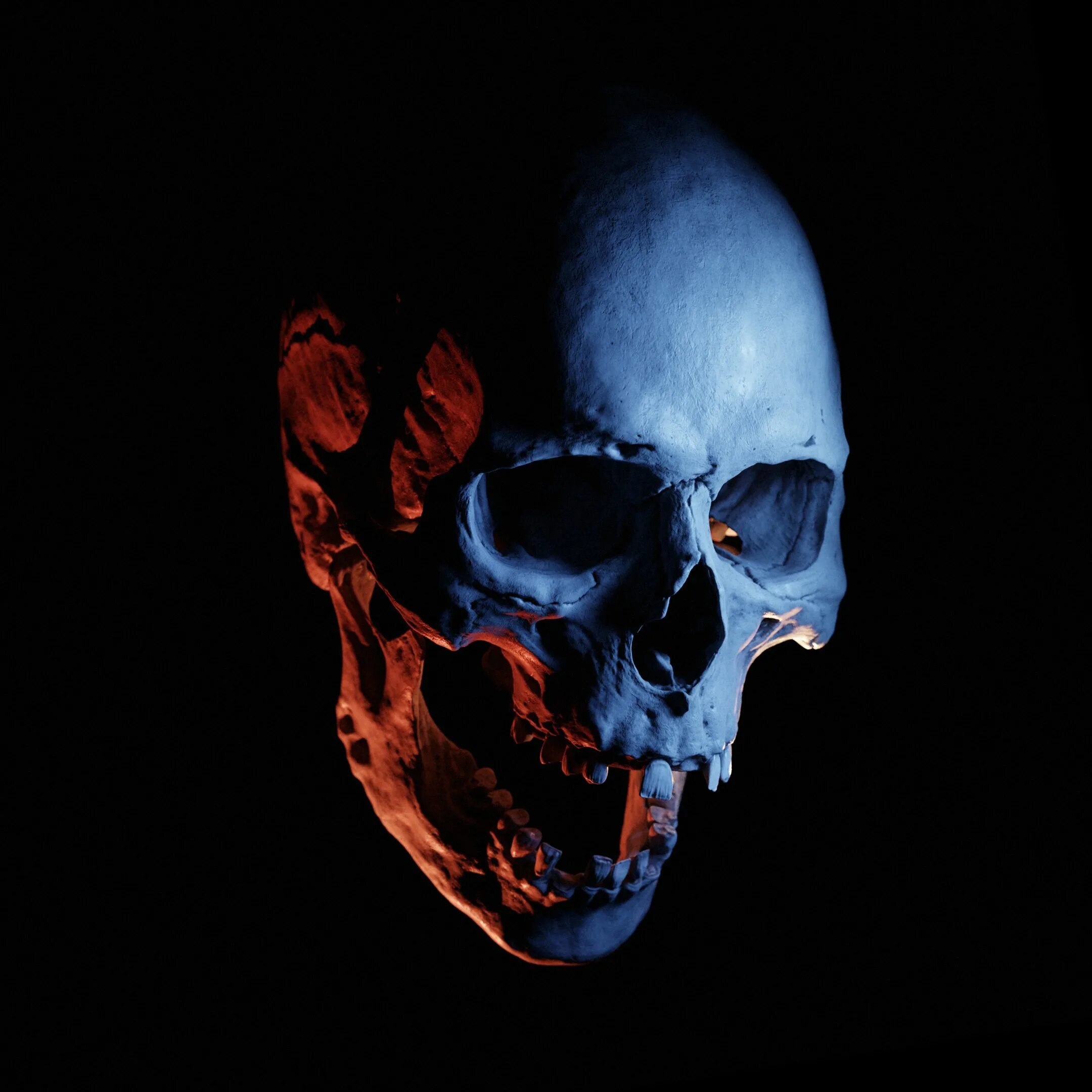 Skull download