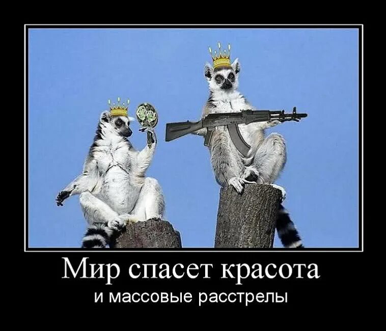 Которого она не только спасет. Красота и массовые расстрелы спасут мир. юмор спасет мир. мир демотиватор. миру мир.