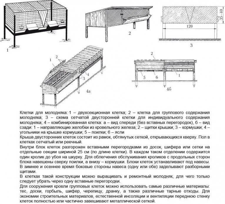 Чертежи клеток для кроликов подробное руководство. Размер клетки для кроликов с маточником схема. Размеры кроличьих клеток чертежи. Чертежи клеток для крольчатника. Максимальный размер клетки