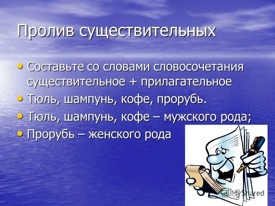 Тюль шампунь. Прорубь род существительного. слово прорубь мужского или женского рода ?. словосочетание женского рода. шампунь словосочетание с прилагательным.