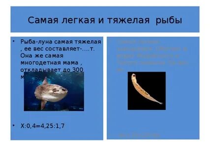 Самое тяжелое самое легкое
