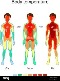 Body temperature man Cut Out Stock Images & Pictures - Alamy.