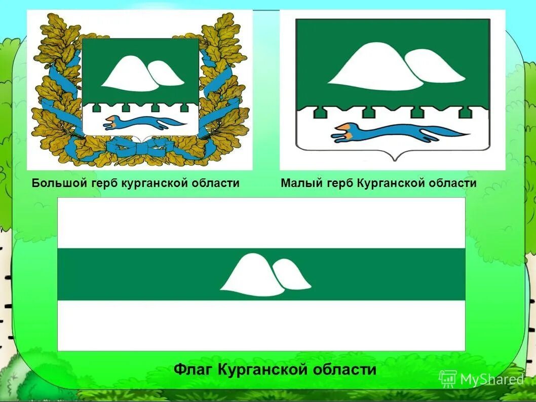 Герб шадринска курганской области. Символы Кургана и Курганской области. Герб города Кургана Курганской области. Герб и флаг Курганской области. Герб Кургана и Курганской области описание.