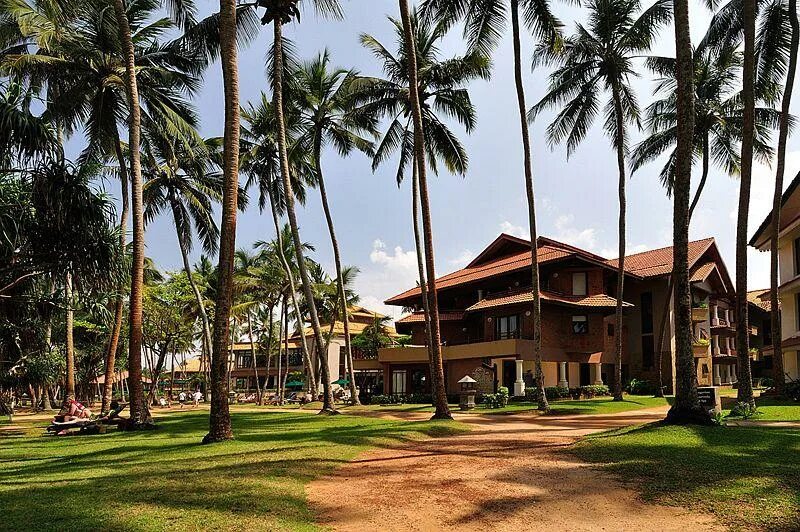 Шри ланка королевский. Роял Палмс Шри Ланка. Палмс Бич Шри Ланка. Отель Royal Palms Beach 5. Royal Palms Beach 5 Шри-Ланка.