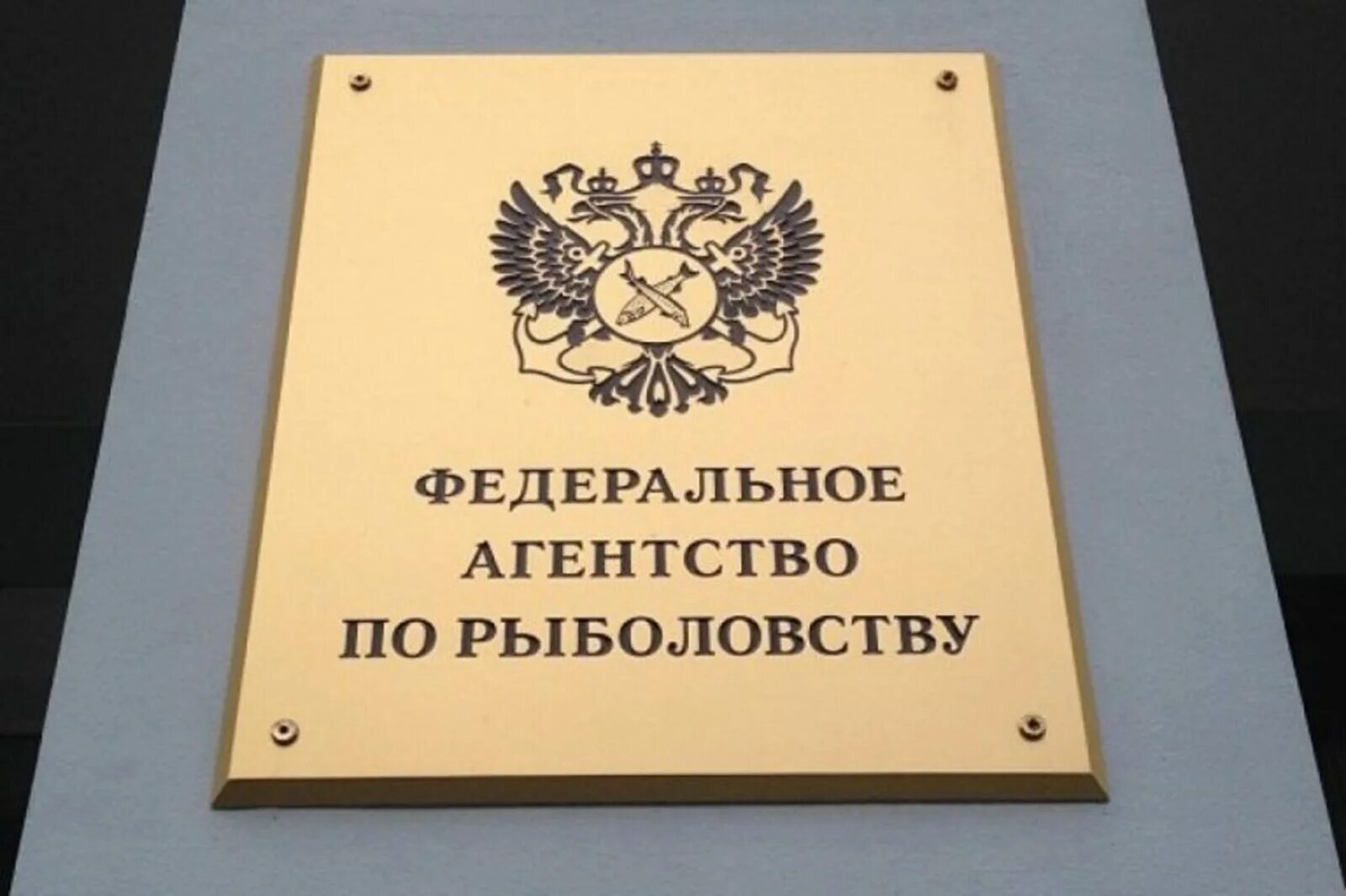 Российское агентство рф. Федеральное агентство Росрыболовства. Федеральное агентство по рыболовству (Росрыболовство). Федеральные агентства России. Федеральное агентство по рыболовству логотип.