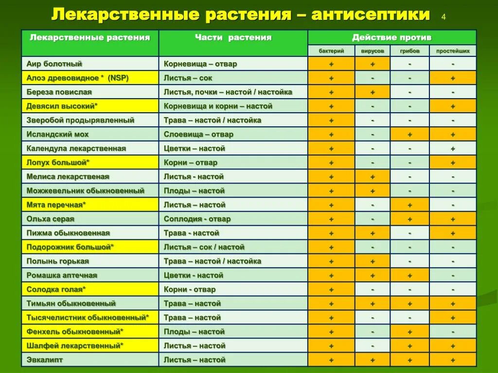 Список лекарственных. Список лекарственных трав. лекарственные растения перечень. календарь сбора лекарственных растений. таблица сбора лекарственных трав.