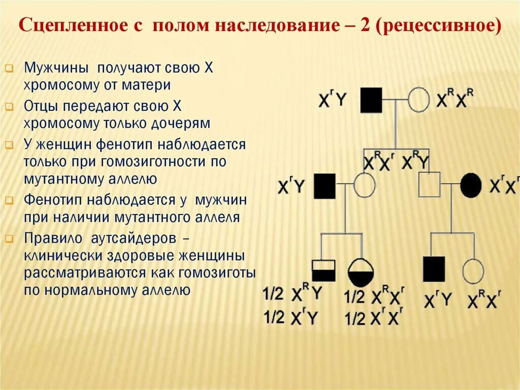 Заболевание y сцепленное рецессивное. Сцепленный с полом рецессивный Тип наследования. Х сцепленный рецессивный Тип наследования генотип. Признаки типа наследования сцепленными с полом рецессивного. Х сцепленный доминантный Тип наследования схема.