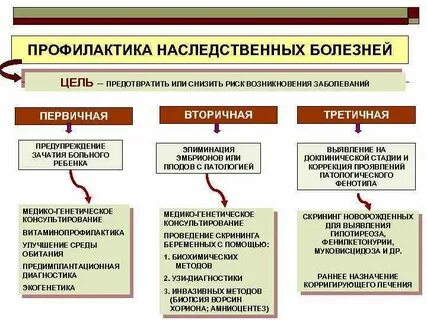 Предупреждение и лечение некоторых наследственных болезней человека