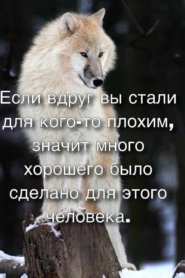 Просто знай что я скучаю. Многое значишь. Открытка ты для меня много значишь. Многое значишь. Ты много значишь для меня стих.