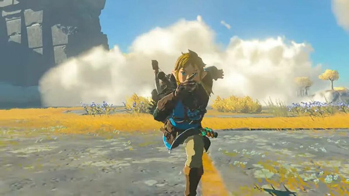 Zelda tears of the kingdom версии. Зельда tears of Kingdom. The Legend of Zelda tears of the Kingdom. Link tears of the Kingdom. Zelda tears of the Kingdom link.